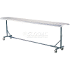 Omni Metalcraft Portable Castered Conveyor Support 12"W PTST9.75-23-39-10