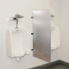 Global Industrial Bathroom Stainless Steel Urinal Screen 24 x 42