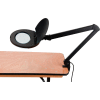Global Industrial™ 5 Diopter LED Magnifying Lamp With Covered Metal Arm, Black
