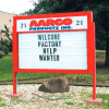 Aarco Double Sided Marquee w/ Header Forest Green Powder Coated - 72"W x 52"H
