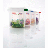 Récipient alimentaire étanche à l’air Araven Colorclip® avec couvercle, 7 « L x 4-1 / 4 » L x 2-5 / 8 « H, transparent - Qté par paquet : 6