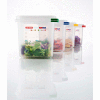 Récipient alimentaire étanche à l’air Araven Colorclip® avec couvercle, 12-7/8 « L x 10-1 / 2 " L x 4 « H, transparent - Qté par paquet : 6
