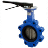 2.5" Lug Style Butterfly Valve W/ EPDM Seals and 10 Position Handle