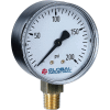 Global Industrial 2-1/2" Pressure Gauge, 200 PSI, 1/4" NPT LM, Steel