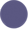 Cambro 1950551 - Camtray 19.5" Round Low, Grape - Pkg Qty 12