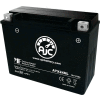 AJC Battery Arctic Cat Prowler 700 UTV Battery (2009), 23 Amps, 12V, I Terminals