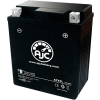 AJC Batterie Bimota SB6 SB7 (Nécessite 2 Batteries) Batterie de moto 1100CC (1995-1997), 6 Amps, 12V