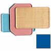 Cambro 3853123 - Camtray 38 x 53cm Metric, Amazon Blue - Pkg Qty 12