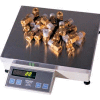 Pennsylvania Heavy Duty Digital Counting Scale with AC Power 10lb x 0.001lb 14" x 12" Platform