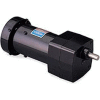 Leeson HP 1125130/00, 1 tr/min, 15V, M57.115, 1 phases, TEFC, PZ, rapport de 30:1, 56 po-lb