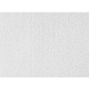 USG 56099 Clean Room™ ClimaPlus™ Panneaux de plafond, Fibre minérale, Blanc, 24" x 24"