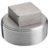 Iso Ss 304 Cast Pipe Fitting Square Head Solid Plug 1/8" Npt Male - Pkg Qty 150