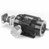 Marathon Motors Inverter Duty Motor, Y983, 254THEN8059, 10HP, 230/460V, 1800RPM, 3PH, 254TC, EPNV