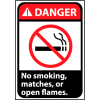 Danger Sign 14x10 Rigid Plastic - No Smoking, Matches Or Open Flames