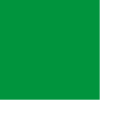 Flagging Tape - Green