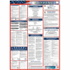 Labor Law Poster - Wyoming