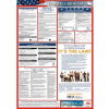 Labor Law Poster - Federal Labor Law Poster - Spanish