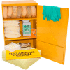 Wall Mount Spill Containment Cabinet, X-Large, 24"W x 12"D x 35"H, Agressif