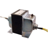 RIB® Transformer TR100VA002US, 100VA, 120-24V, Dual Hub, Foot Mount, Circuit Breaker