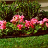 Professional-Grade Lawn Edging