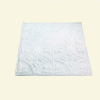Great Lakes Tin Jamestown 2' X 2' Nail-up Tin Ceiling Tile in Gloss White - T51-00