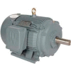 Dans le monde électrique T-Frame moteur PEWWE5-18-184T, GP, TEFC, rigide, 3 PH, 184T, 208-230/460V, 6,9 FLA