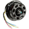 Fan & Blower Motors