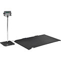 Floor Scales