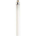 Fluorescent Bulbs