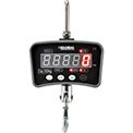 Crane & Hanging Scales