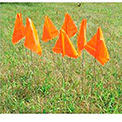 Marking Flags & Posts