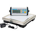 Bench Scales