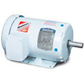 Washdown Motors