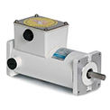 Washdown DC Motors