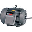 Automotive Duty Motors