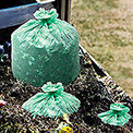 Biodegradable & Compost