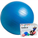 Physical Therapy