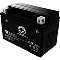Vehicle Batteries