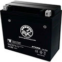 Snowmobile Batteries