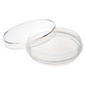 Laboratory Dishes and Plates