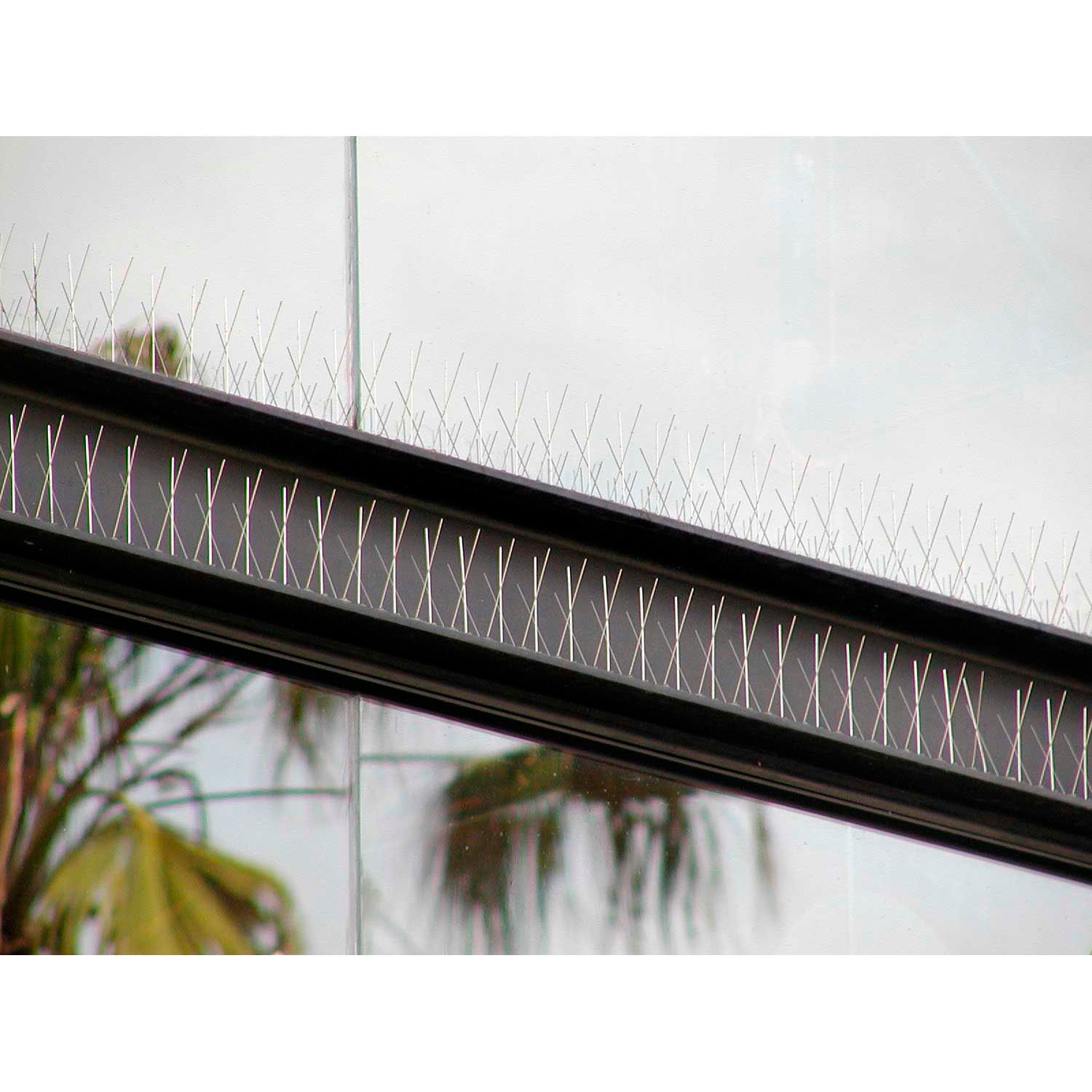 Bird Barrier BirdFlite Wide w/Bond Bird Spikes, 10 ft. BPF210