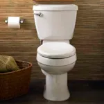 Toilettes en deux parties avec surface Everclean