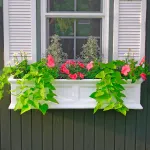 Plastic Window Boxes