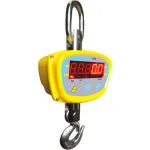 Balances à grue numériques