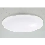 Decorative LED Flush Mount Fixtures