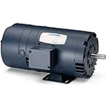 Leeson Brake Motors, 3-Ph, DP, Rigid Base
