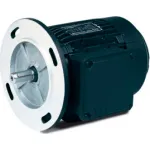 Baldor Metric Motors w/3-Phs