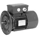 US Motors Brake Motors