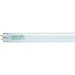 Ampoules fluorescentes T8