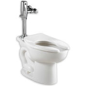 American Standard 3461001.020 Madera ADA Elong Toilet W/Everclean, 1.1-1.6GFP